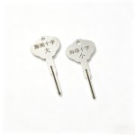 Steel Cross Lock Pick